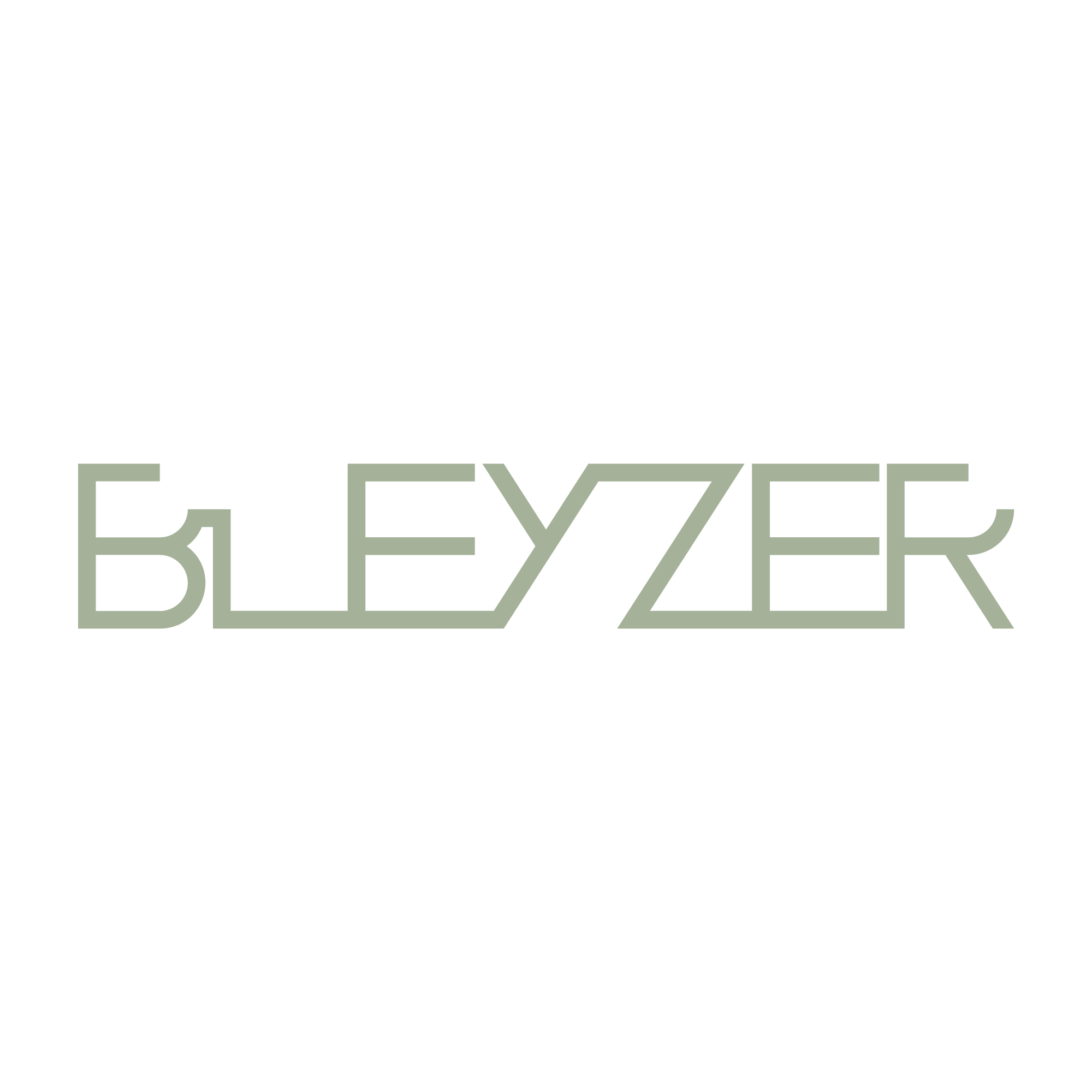 Bleyzer store